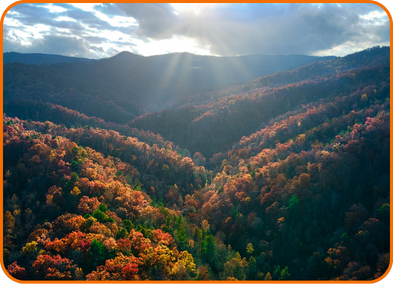 A Local’s Guide to Cades Cove: Bears, History & Best Times to Go