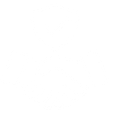 Handshake Shield Icon