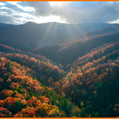 A Local’s Guide to Cades Cove: Bears, History & Best Times to Go